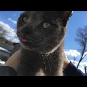 Meet your Posher, Hannah